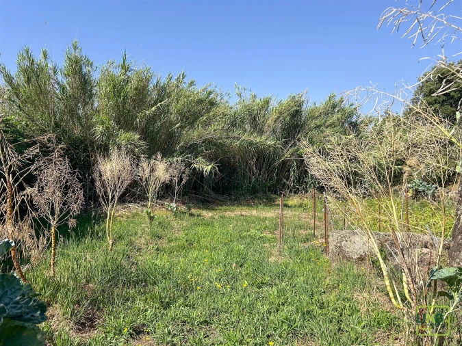 Terreno Agricola ou Rústico para Venda em Aranhas Foto 41