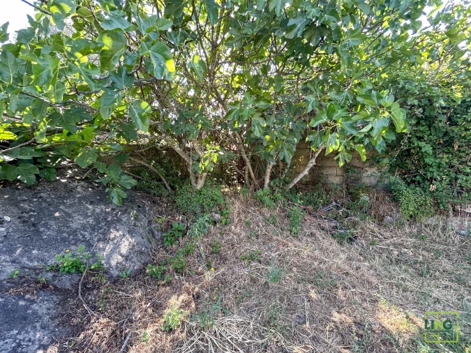 Terreno Agricola ou Rústico para Venda em Aranhas Foto 43