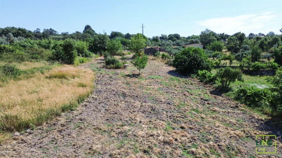 Terreno Agricola ou Rústico para Venda em Aranhas Foto 17