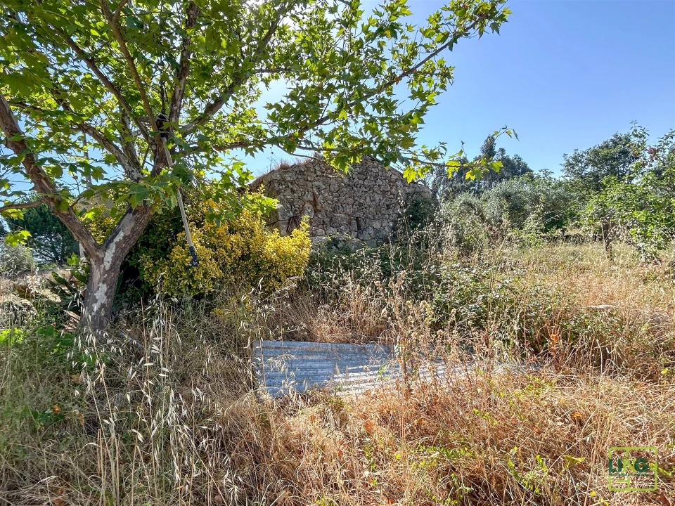 Terreno Agricola ou Rústico para Venda em Aranhas Foto 33