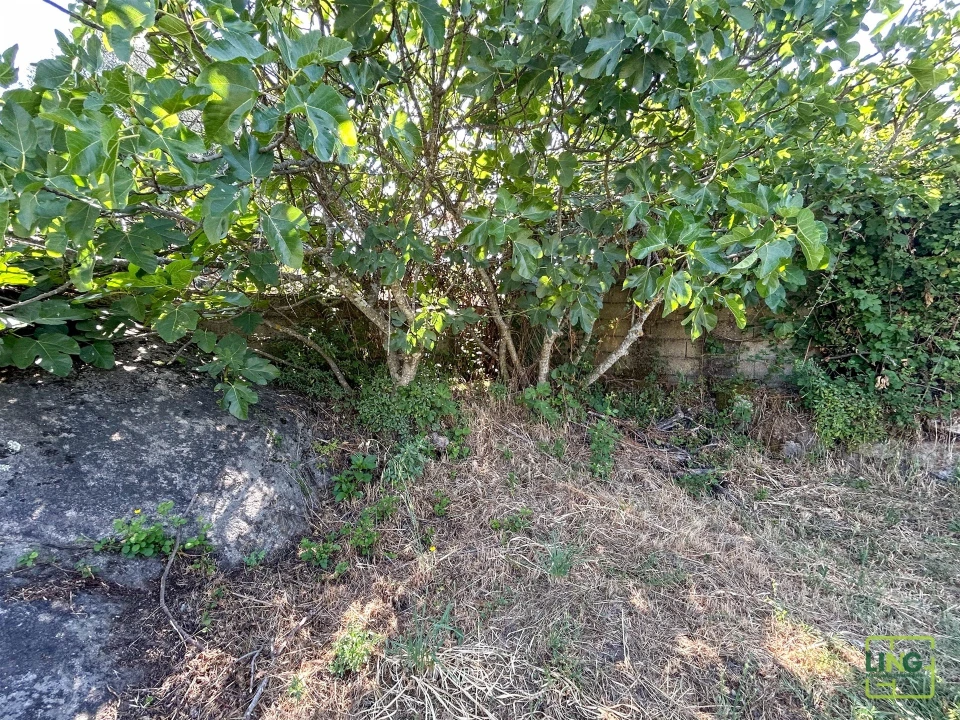 Terreno Agricola ou Rústico para Venda em Aranhas Foto 43