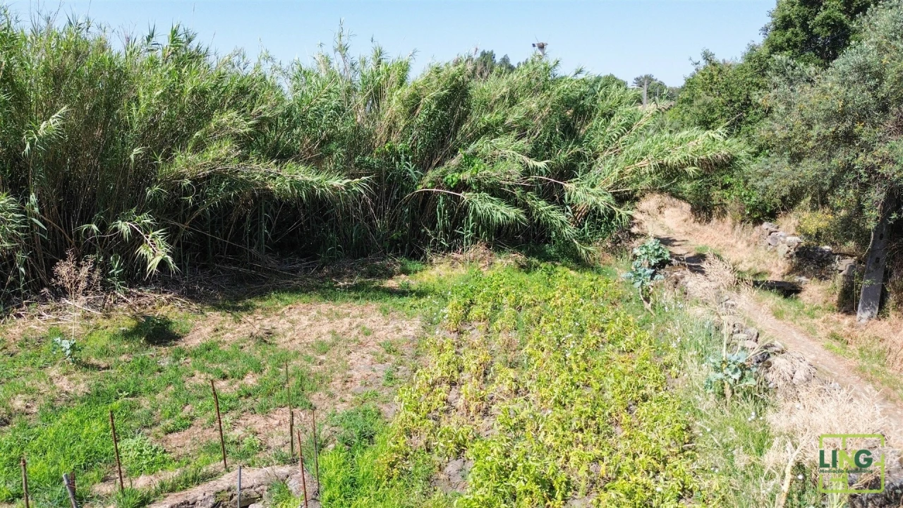Terreno Agricola ou Rústico para Venda em Aranhas Foto 19