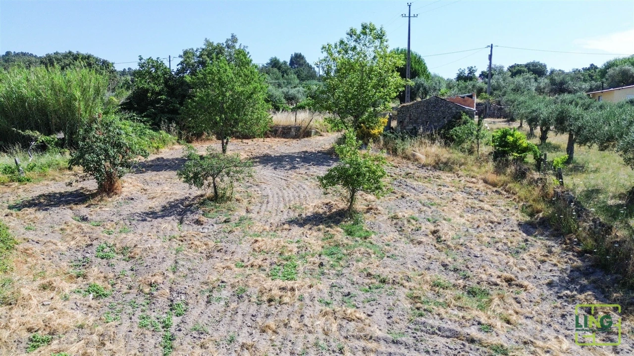 Terreno Agricola ou Rústico para Venda em Aranhas Foto 13