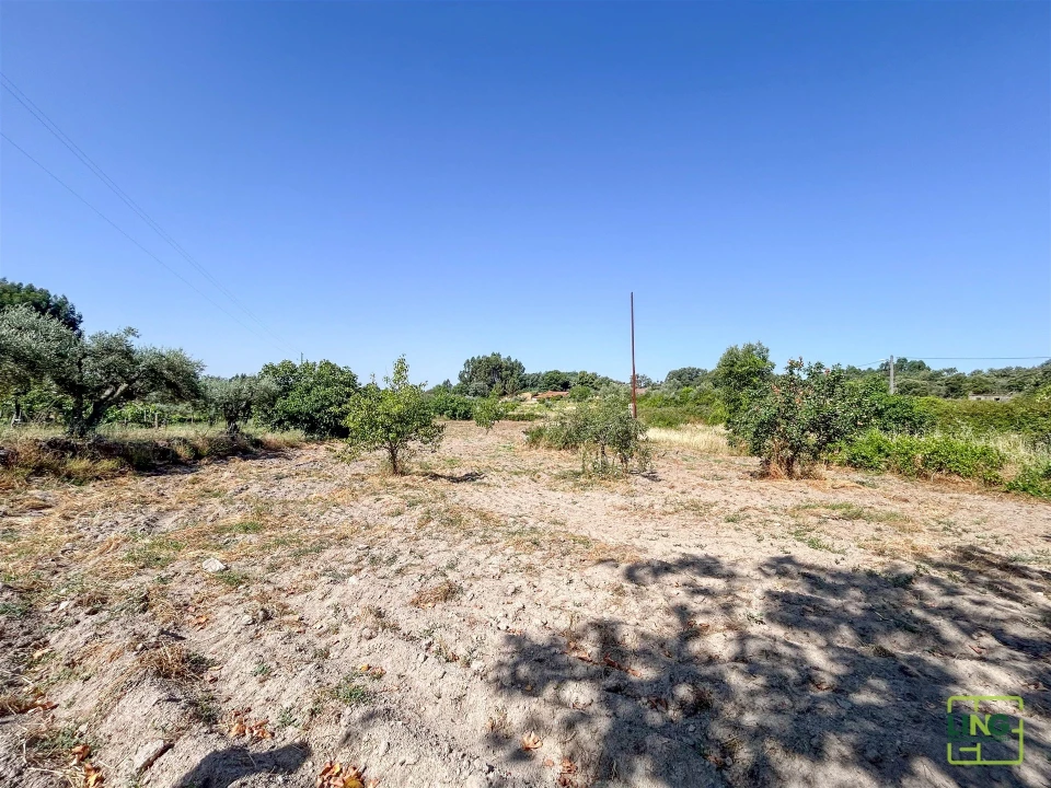 Terreno Agricola ou Rústico para Venda em Aranhas Foto 30