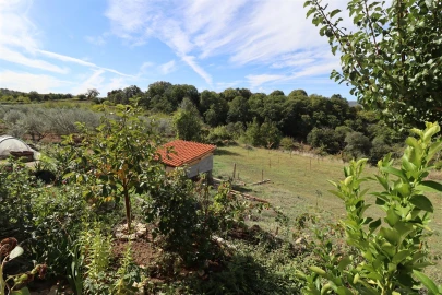 Moradia T4 para Venda em Castrelos e Carrazedo