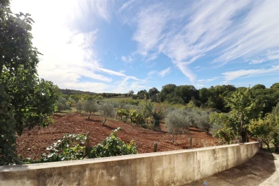 Moradia T4 para Venda em Castrelos e Carrazedo
