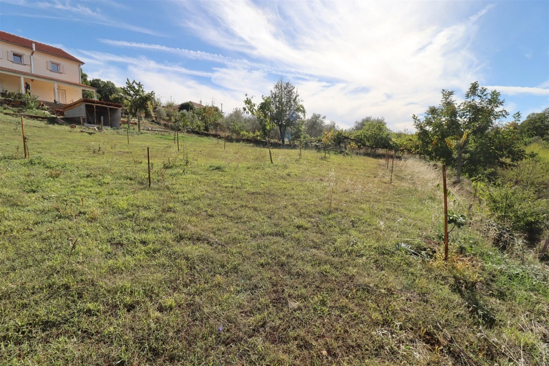 Moradia T4 para Venda em Castrelos e Carrazedo Foto 39