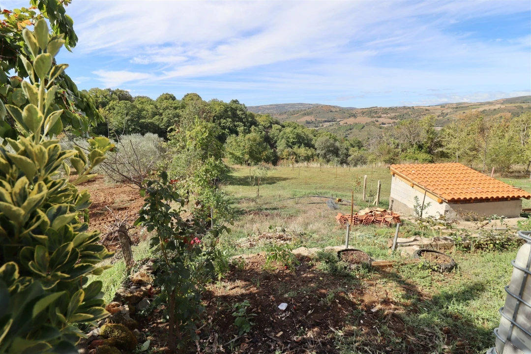 Moradia T4 para Venda em Castrelos e Carrazedo Foto 36