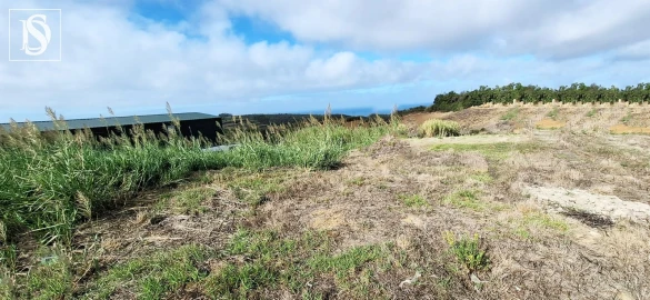 Terreno para Venda em Lourinhã e Atalaia