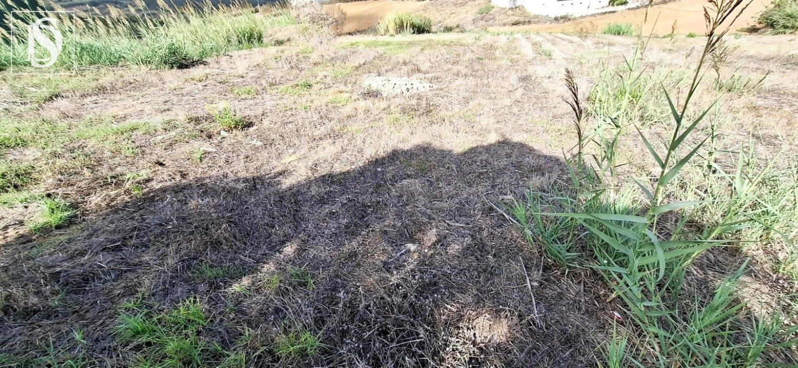 Terreno para Venda em Lourinhã e Atalaia Foto 3