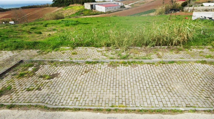 Terreno para Venda em Lourinhã e Atalaia Foto 7