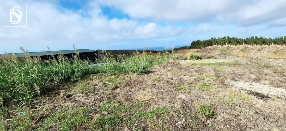 Terreno para Venda em Lourinhã e Atalaia Foto 4