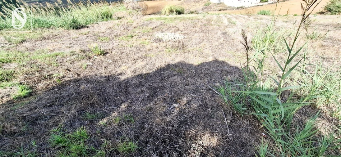 Terreno para Venda em Lourinhã e Atalaia Foto 3