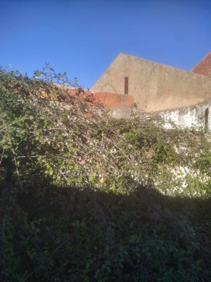 Moradia T2 para Venda em Grândola e Santa Margarida da Serra Foto 5