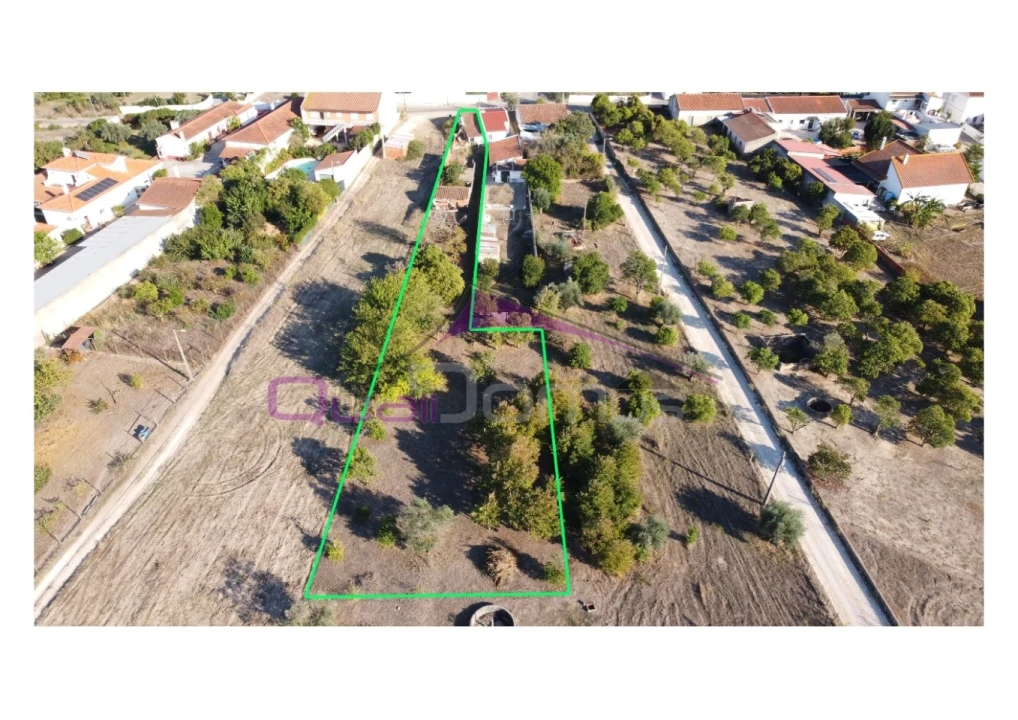 Terreno Misto para Venda em Carregueira Foto 1