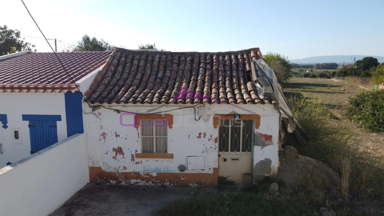 Terreno Misto para Venda em Carregueira Foto 2