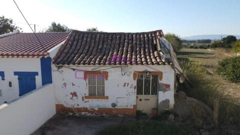 Terreno Misto para Venda em Carregueira