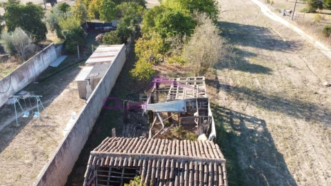 Terreno Misto para Venda em Carregueira
