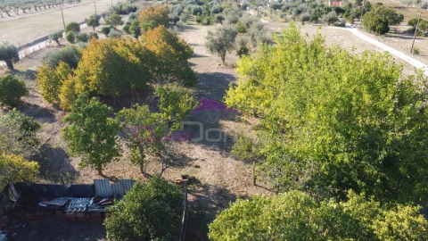 Terreno Misto para Venda em Carregueira