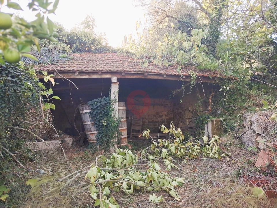 Moradia T3 para Venda em Ceivães e Badim Foto 13