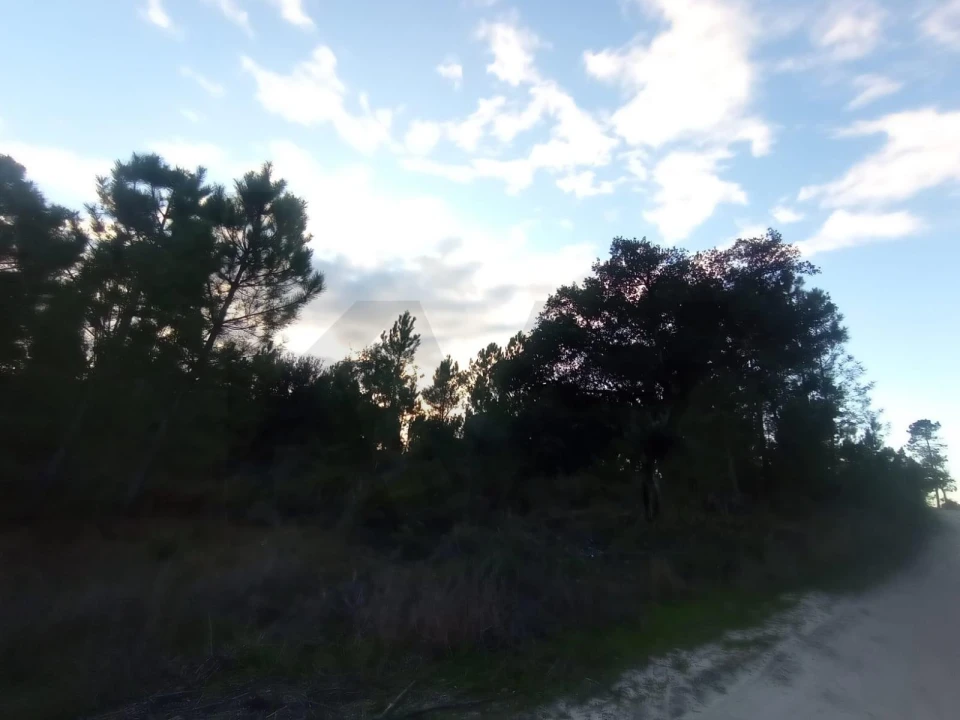 Terreno para Venda em Pegões Foto 5