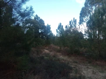 Terreno para Venda em Pegões