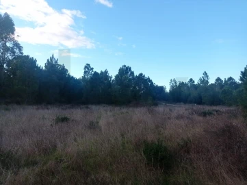 Terreno para Venda em Pegões