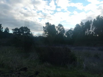 Terreno para Venda em Pegões