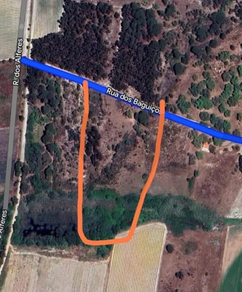 Terreno para Venda em Pegões