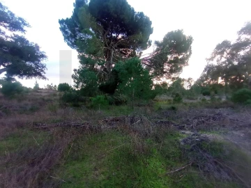 Terreno para Venda em Pegões