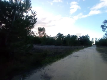 Terreno para Venda em Pegões