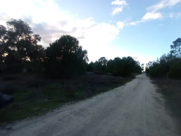 Terreno para Venda em Pegões