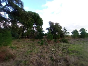 Terreno para Venda em Pegões