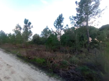 Terreno para Venda em Pegões