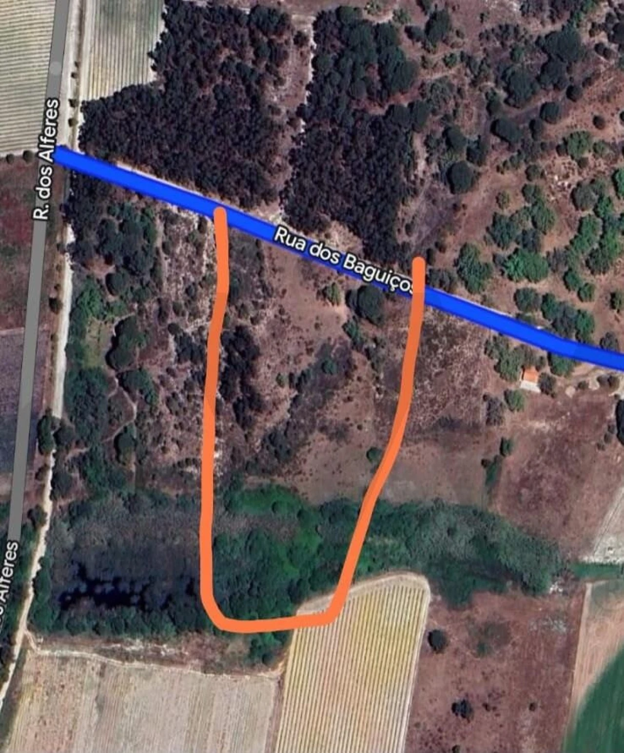 Terreno para Venda em Pegões Foto 1