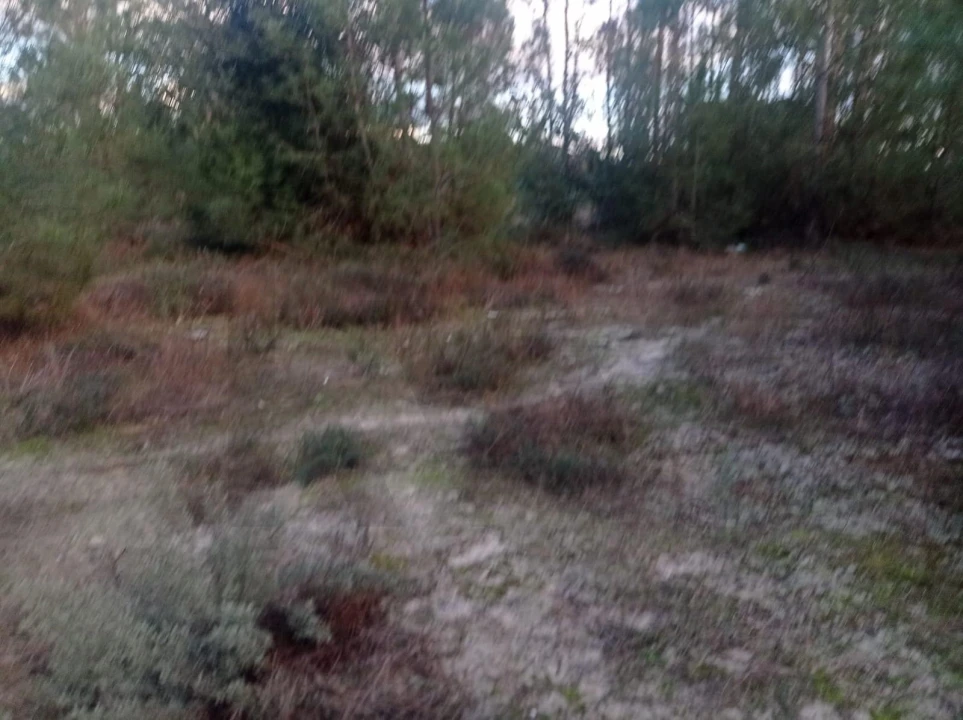 Terreno para Venda em Pegões Foto 4