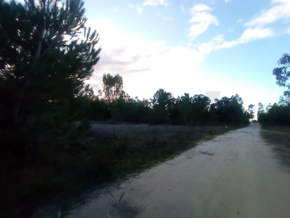 Terreno para Venda em Pegões Foto 6