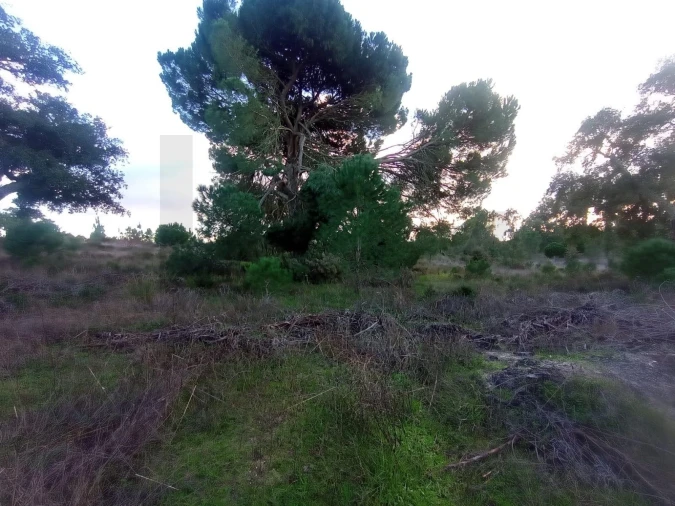 Terreno para Venda em Pegões Foto 10