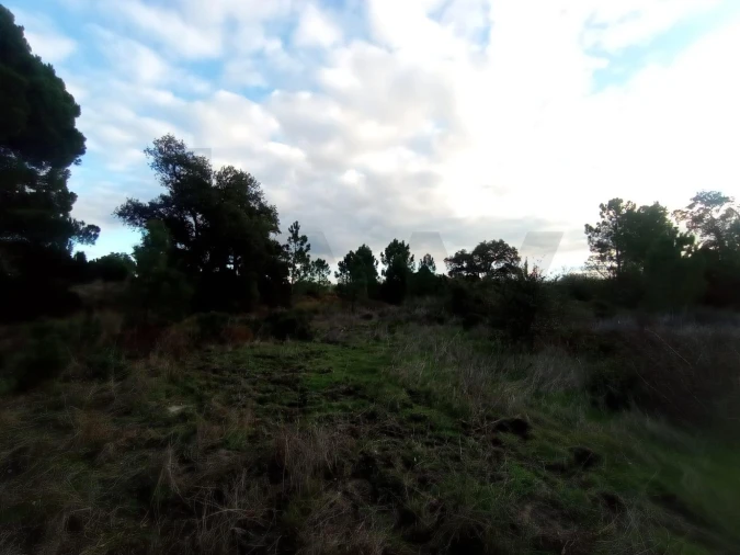 Terreno para Venda em Pegões Foto 17