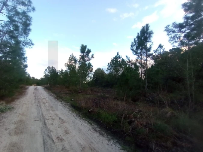 Terreno para Venda em Pegões Foto 3
