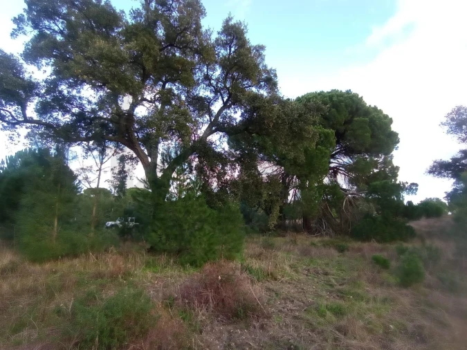 Terreno para Venda em Pegões Foto 20