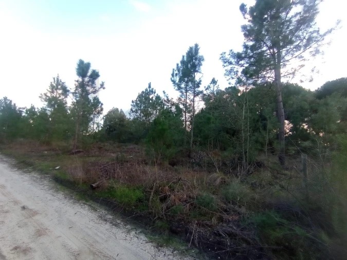 Terreno para Venda em Pegões Foto 2