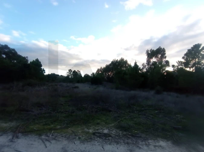 Terreno para Venda em Pegões Foto 8