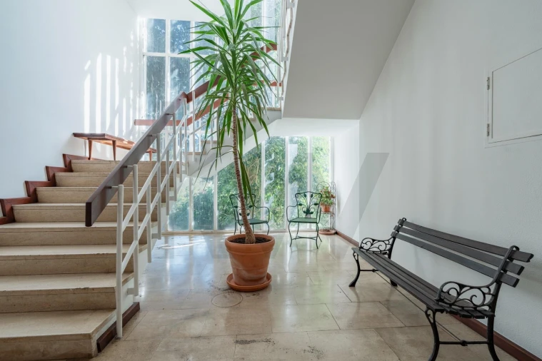 Apartamento T1 para Venda em Cascais e Estoril Foto 14
