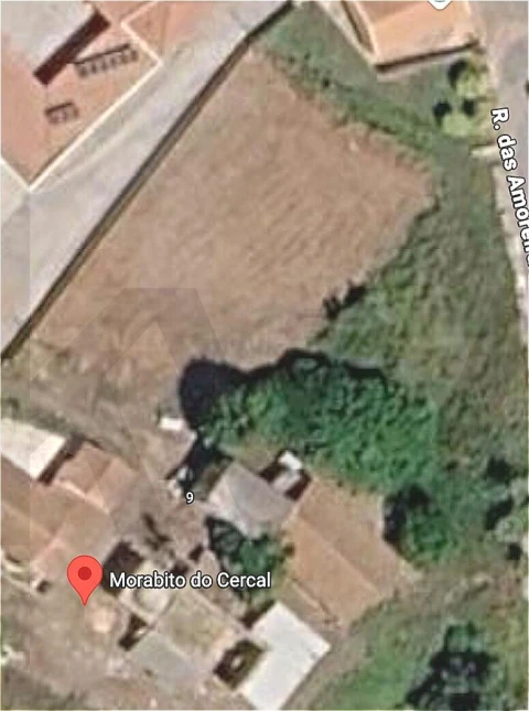 Terreno para Venda em Lamas e Cercal