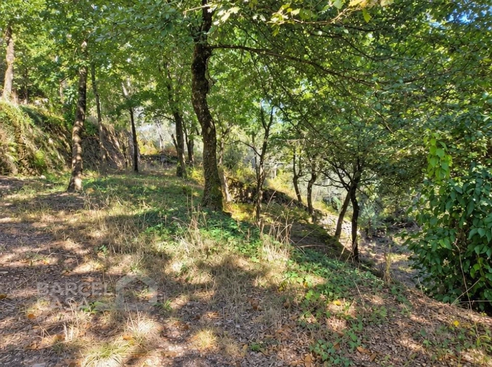 Quinta T10 para Venda em Vilela, Seramil e Paredes Secas Foto 15
