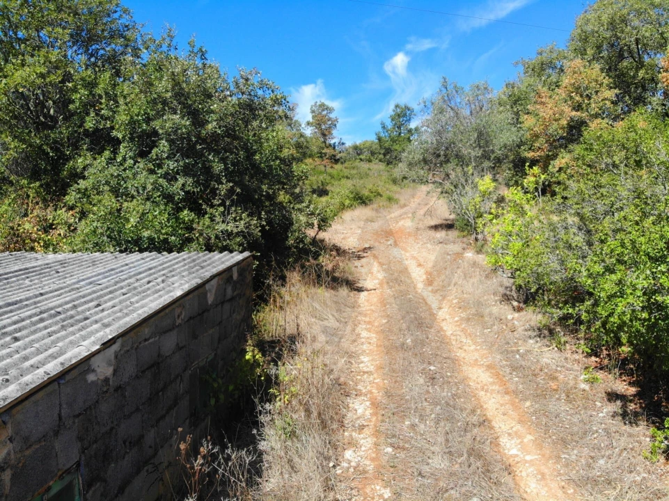 Terreno para Venda em Chão de Couce Foto 14