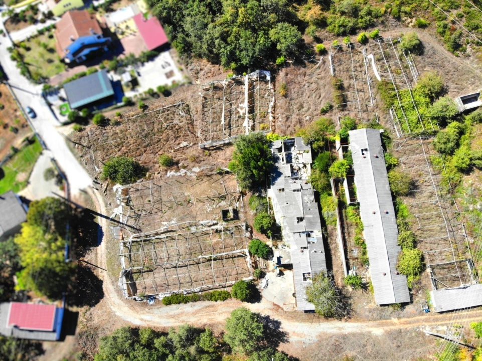 Terreno para Venda em Chão de Couce Foto 20