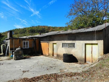 Terreno para Venda em Chão de Couce