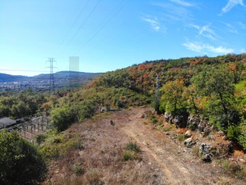 Terreno para Venda em Chão de Couce